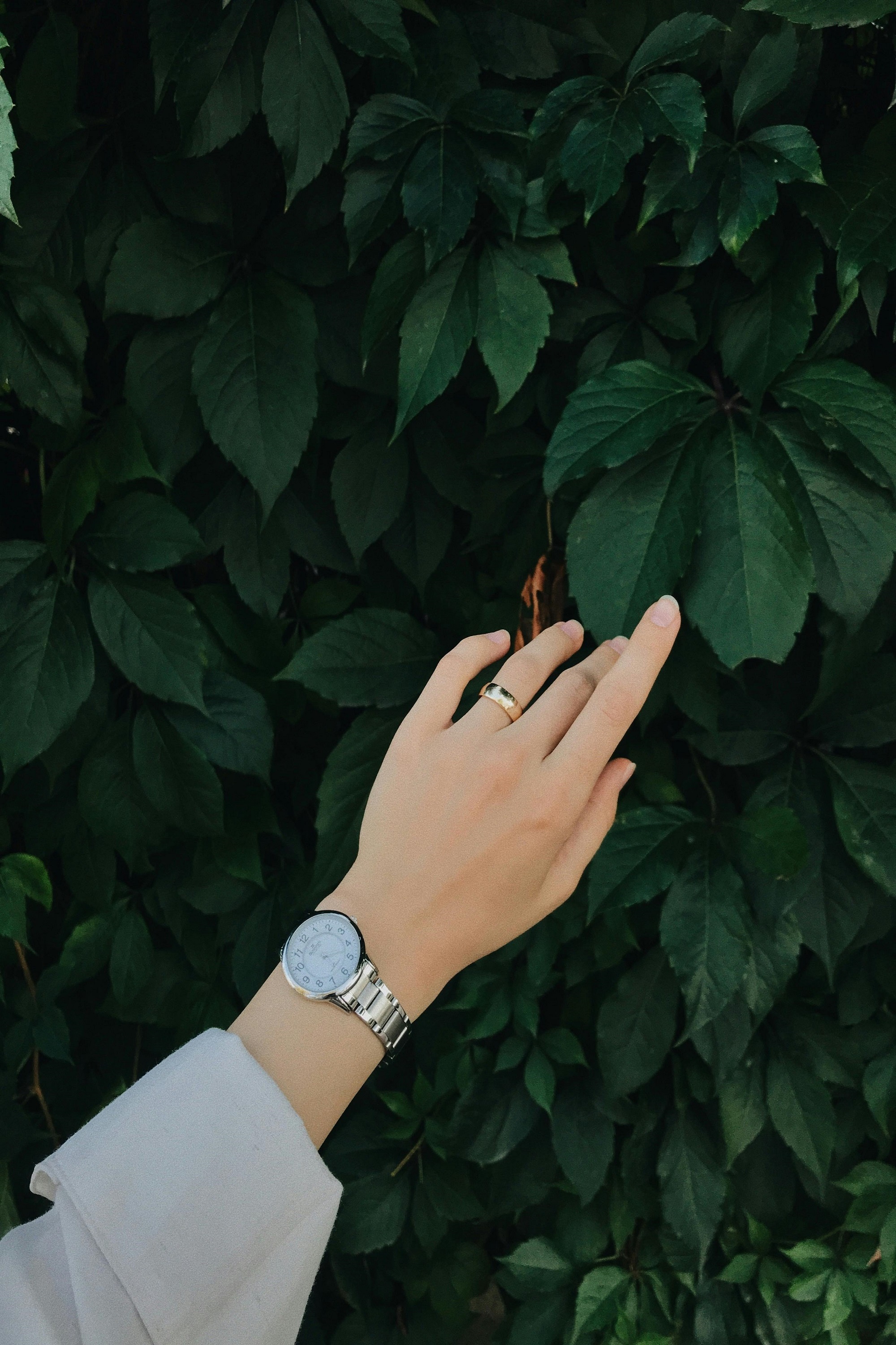 Women Watches